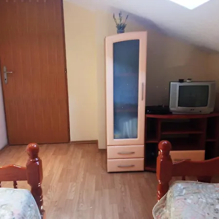 Babic Vrnjačka Banja